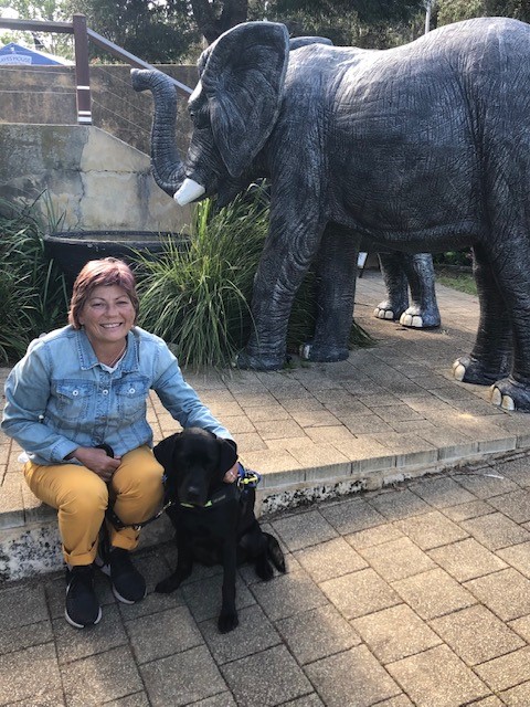 Picture of Colleen and Rhian sitting in front of elephant statue at Cave House gardens Picture of Colleen and Rhian sitting in front of elephant statue at Cave House gardens