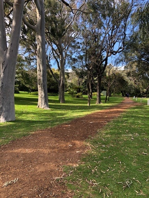 Photos of garden and Sea Shells Apartment, grean lawn and trees in the background. Photos of garden and Sea Shells Apartment, grean lawn and trees in the background.